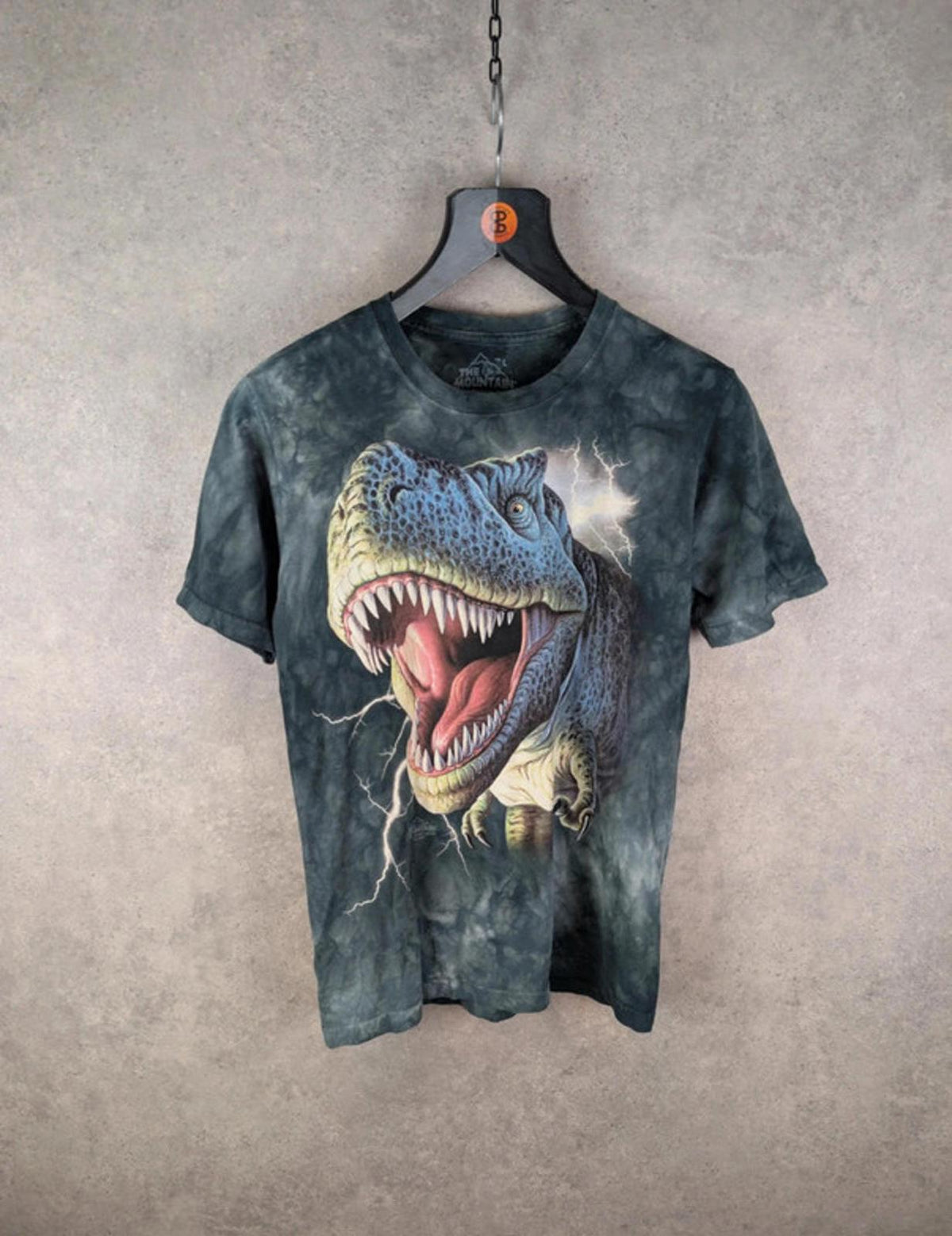The Mountain Dinosaur T-Shirt Boys L Large Vintage 2009 Graphic Print Short Sleeve