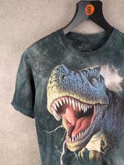 The Mountain Dinosaur T-Shirt Boys L Large Vintage 2009 Graphic Print Short Sleeve